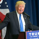 Illustration for article titled Donald Trumps Mosquito Struggle Just Desecrated the Memory of Bernie Sanders Bird